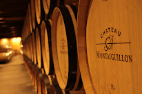 Chateau Montaiguillon à Montagne