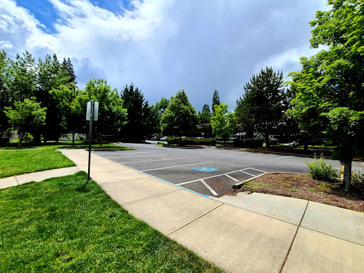 Morrison Centennial Park - Thumbnail