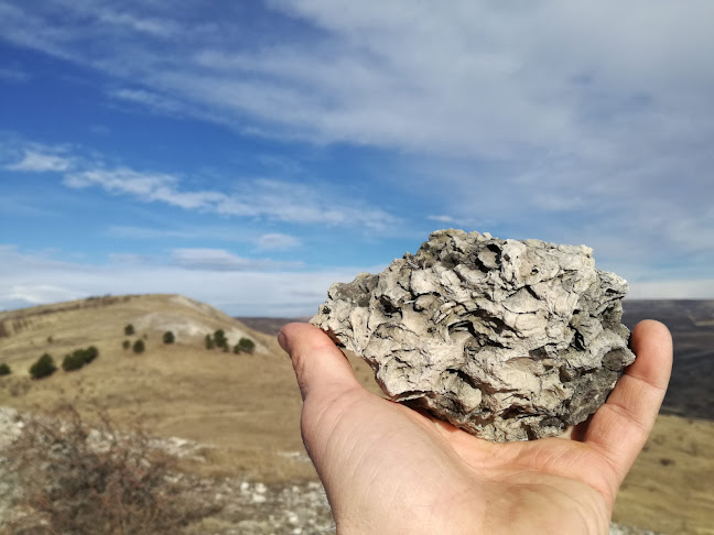 Comentarii opinii despre Ferma Dacilor