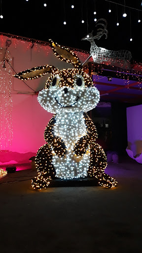 Nautilus Music Lights Christmas & Garden - Thumbnail