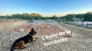Photo n°5 de Centre Canin l'Echo de la Mordorée élevage et pension canine à Saint-Laurent-du-Verdon (Garde d'animaux de compagnie)