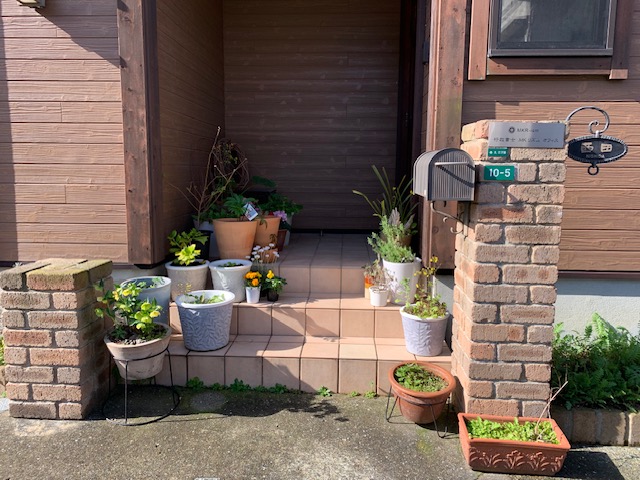 行政書士 MKリズム オフィス