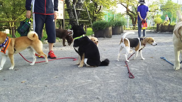 Taito Kuritsu Sumida Park