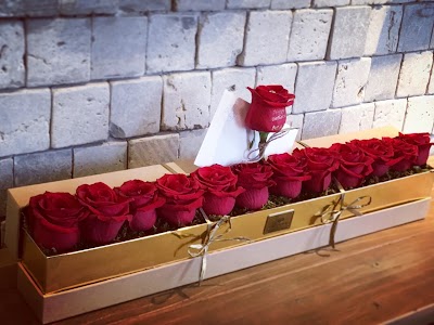 Photos of ROUGE N LOVE || Speaking Roses Jordan