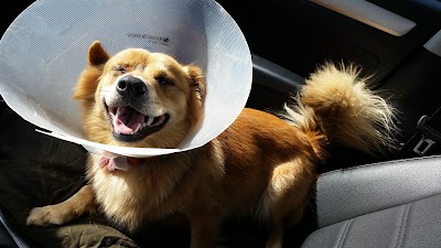 Photos of St Bethlehem Animal Clinic