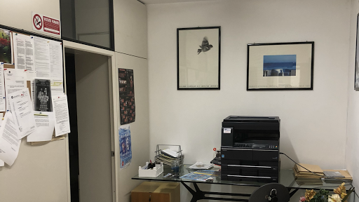 Studio Bufano - Visual