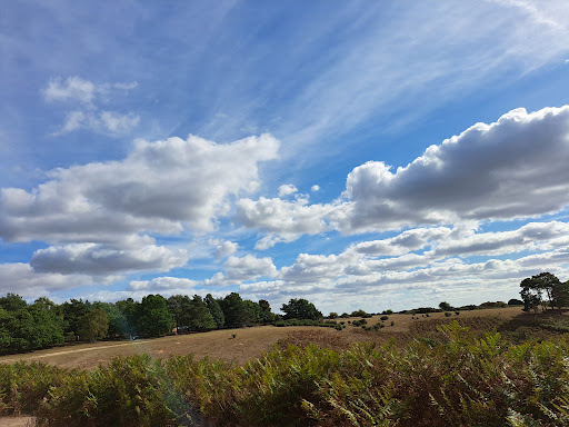 National Trust - Sutton Hoo Gallery - United Kingdom