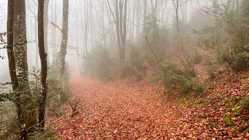 Ruta de las Caleras y las Carboneras - Thumbnail