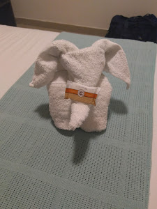 Los Diamantes Hotel 9