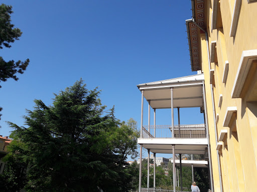 Dipartimento di Scienze della Vita - Thumbnail
