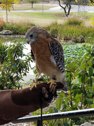 Kansas Wildlife Exhibit