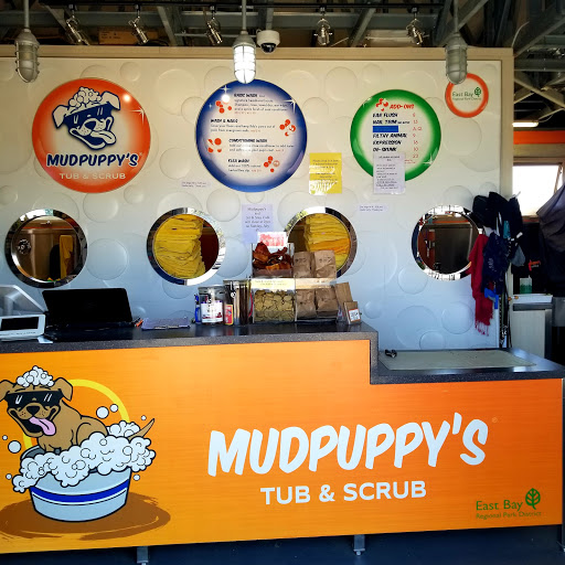 Mudpuppy's at Point Isabel Dog Park - Thumbnail