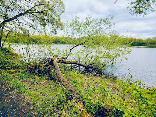 Frielendorf Freizeit Park - Thumbnail