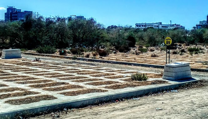 Ashdod cemetery, Author: Ilay Stepanenko