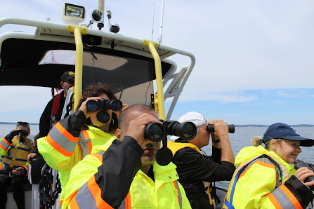 Adventures Marine zodiac Boat Tours Dock A Charlottetown Yacht Club 2 Pr, Charlottetown, PE C1A 4J6, Canada