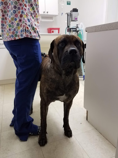 Baxley Animal Hospital