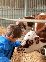 Photo n°1 de Ferme du Bois Neuf à La Chapelle-Vicomtesse (Ferme d'élevage)