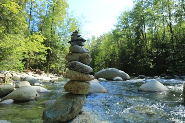 Lynn Canyon