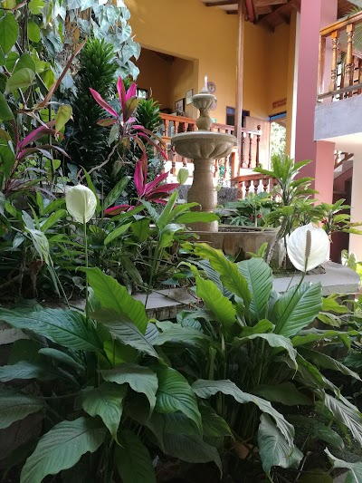 Photos of Hotel SPA LA COLINA