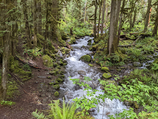 Nooksack Falls - Visual