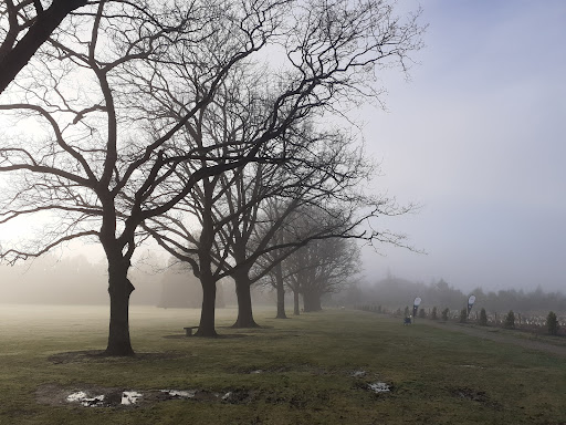 Hamilton Park parkrun - Thumbnail