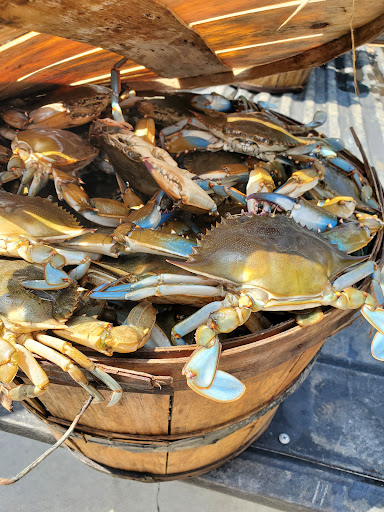 Highway 21 Seafood - Thumbnail