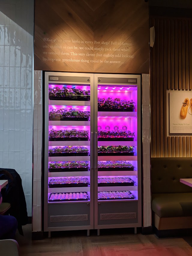 Veggie Pret