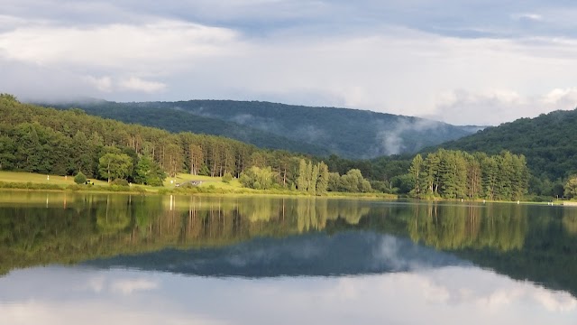 Allegany State Park