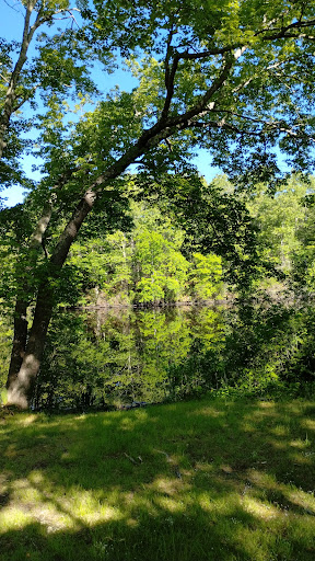 Thompson CT Recreation Dept - Thumbnail
