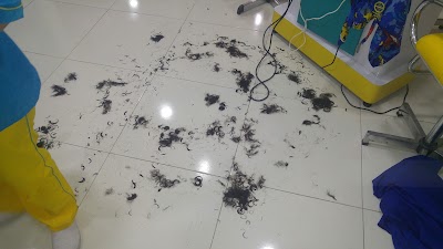 Photos of pelitos