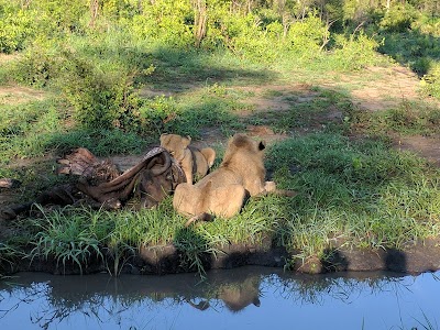 Photos of Plains Camp