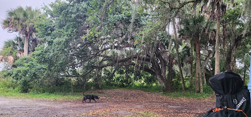 Hammock Campground - Visual