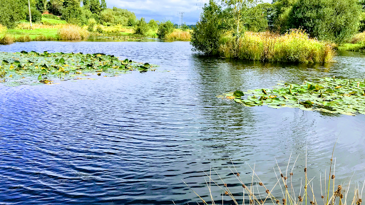 Manor House Cottage Fishery - Private Site