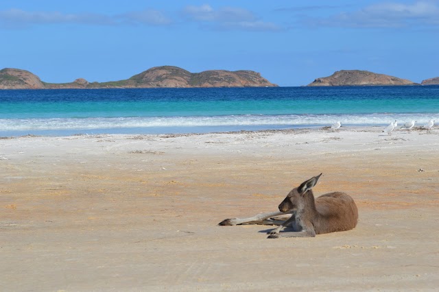 Lucky Bay