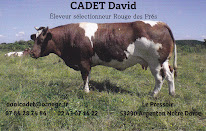 Elevage CADET David vente directe viande bovine à Bierné-les-Villages