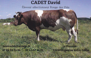 Photo n°2 de Elevage CADET David vente directe viande bovine à Bierné-les-Villages (Ferme)