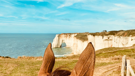 Photo de Camping Abijune à Étretat (76790)
