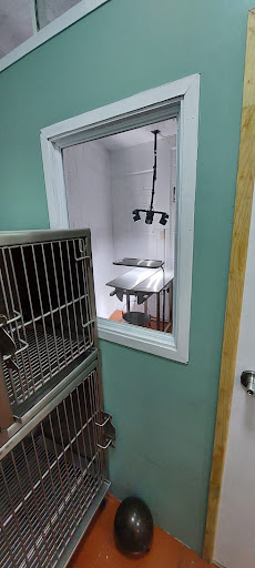 CEDRAL CLÍNICA VETERINARIA - Thumbnail