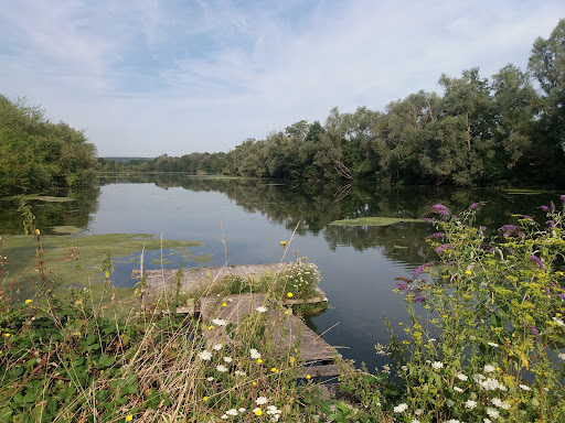 Presqu’île du Stade Nautique - Thumbnail