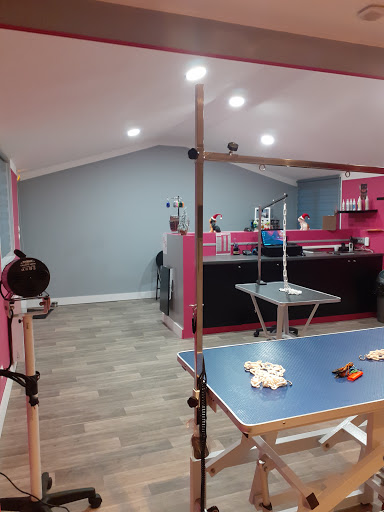 Salon de toilettage Bel K'Ouaf - Thumbnail