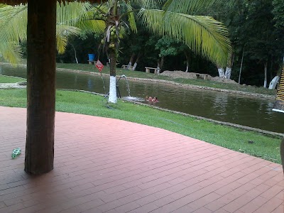 Photos of Hotel Pto Araujo