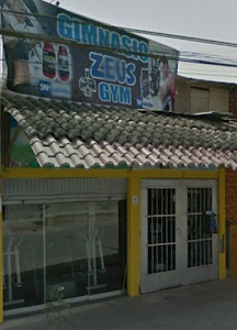 Zeus Gym 0