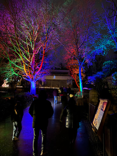 Geier Gallery - Germany
