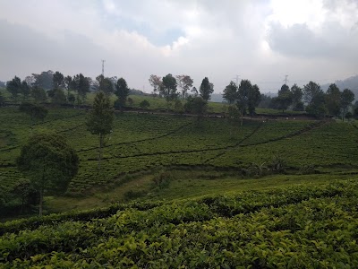 Photos of Village Field Margamulya