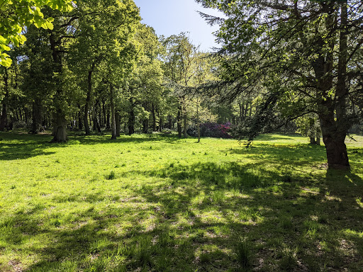 Parc de la forêt de Montgeon - Thumbnail
