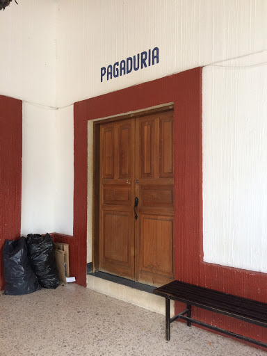 Pagaduría - Visual