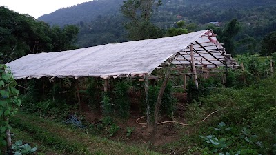 Photos of Chirgadi Poultry & Agro Farm