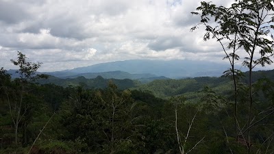 Photos of Warung Jabur