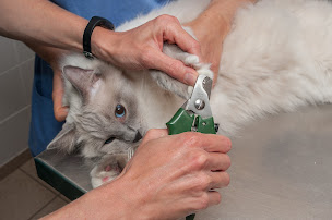 Photo n°1 de Clinique vétérinaire des lavandes à La Bégude-de-Mazenc (Clinique vétérinaire)