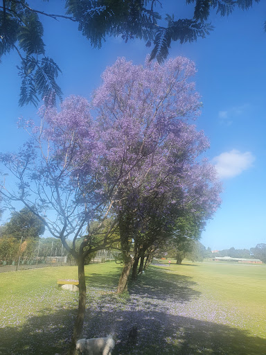 Collier Reserve Gallery - Australia